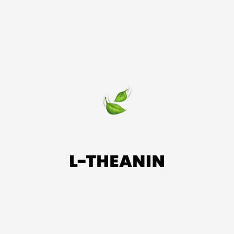 L-theanin - aminokyselina která ti změní mozek